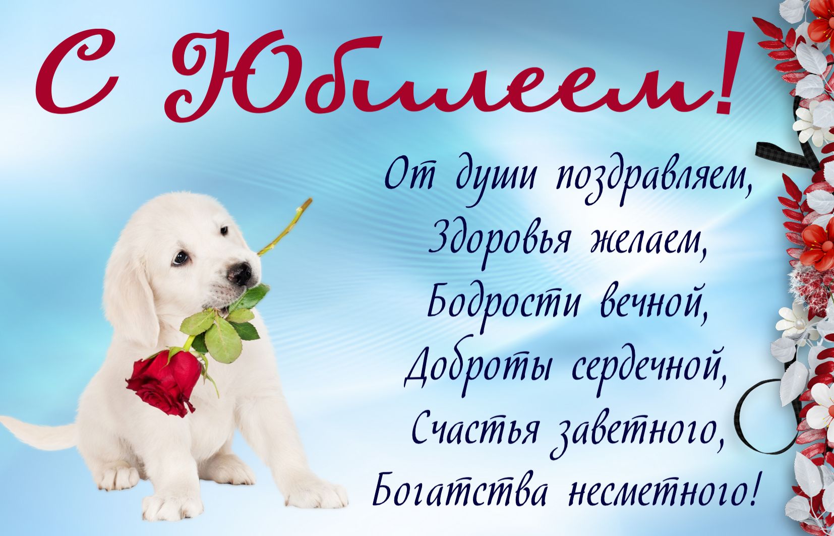 Поздравления С Днем Рождения Женщине С Собачкой