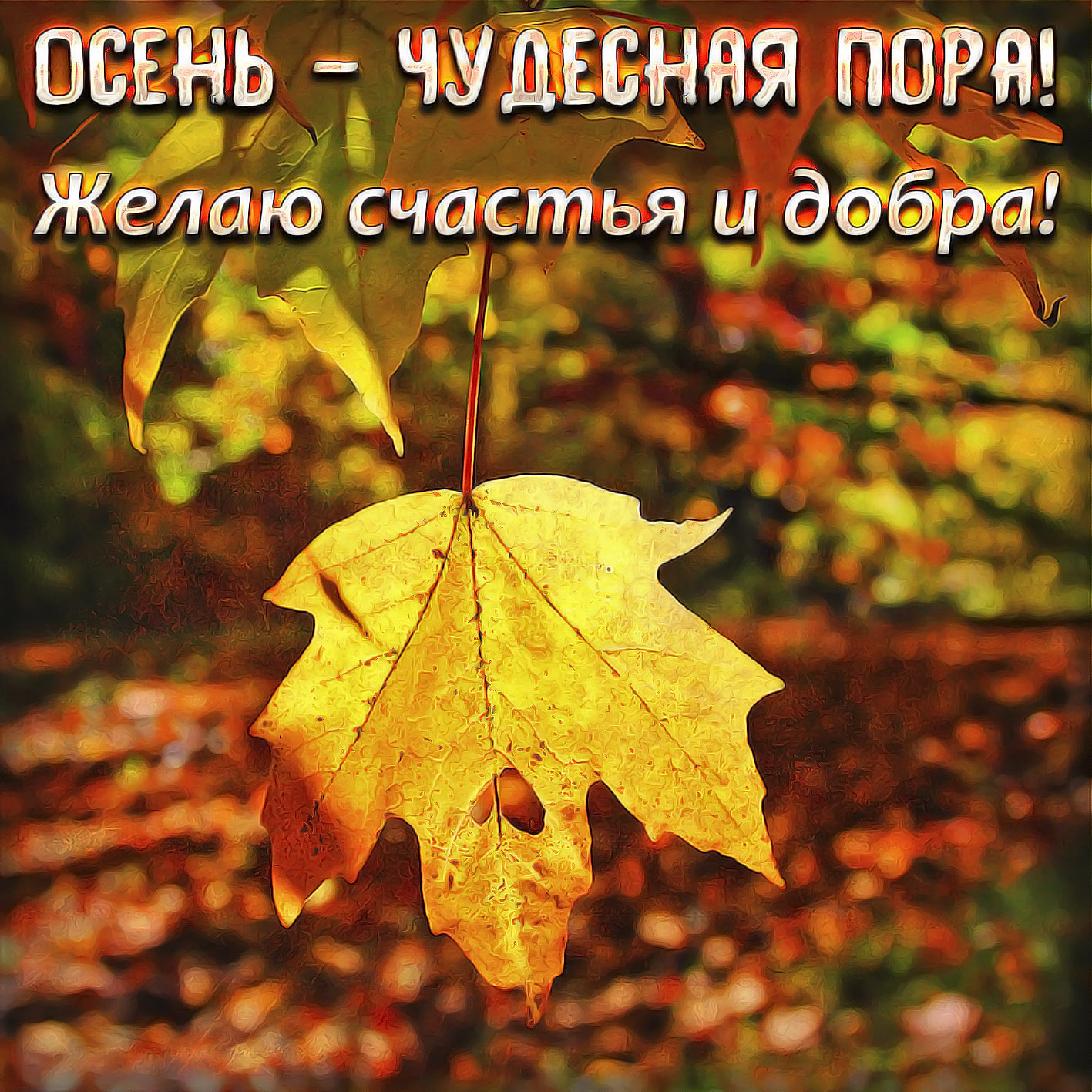 Картинки С Поздравлением Про Осень