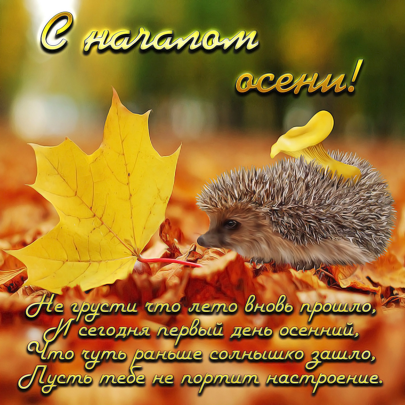 Красивые Поздравление С Прекрасной Осенью В Картинках