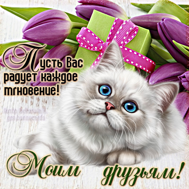 Поздравление С Днем Друзей В Одноклассниках