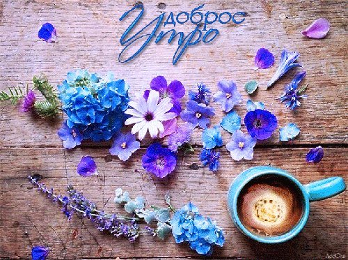 Доброе Утро Необычные Картинки Тик Тока