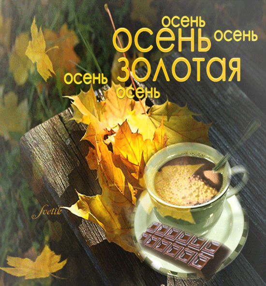 Поздравления С Добрым Осенним Утром Гифки