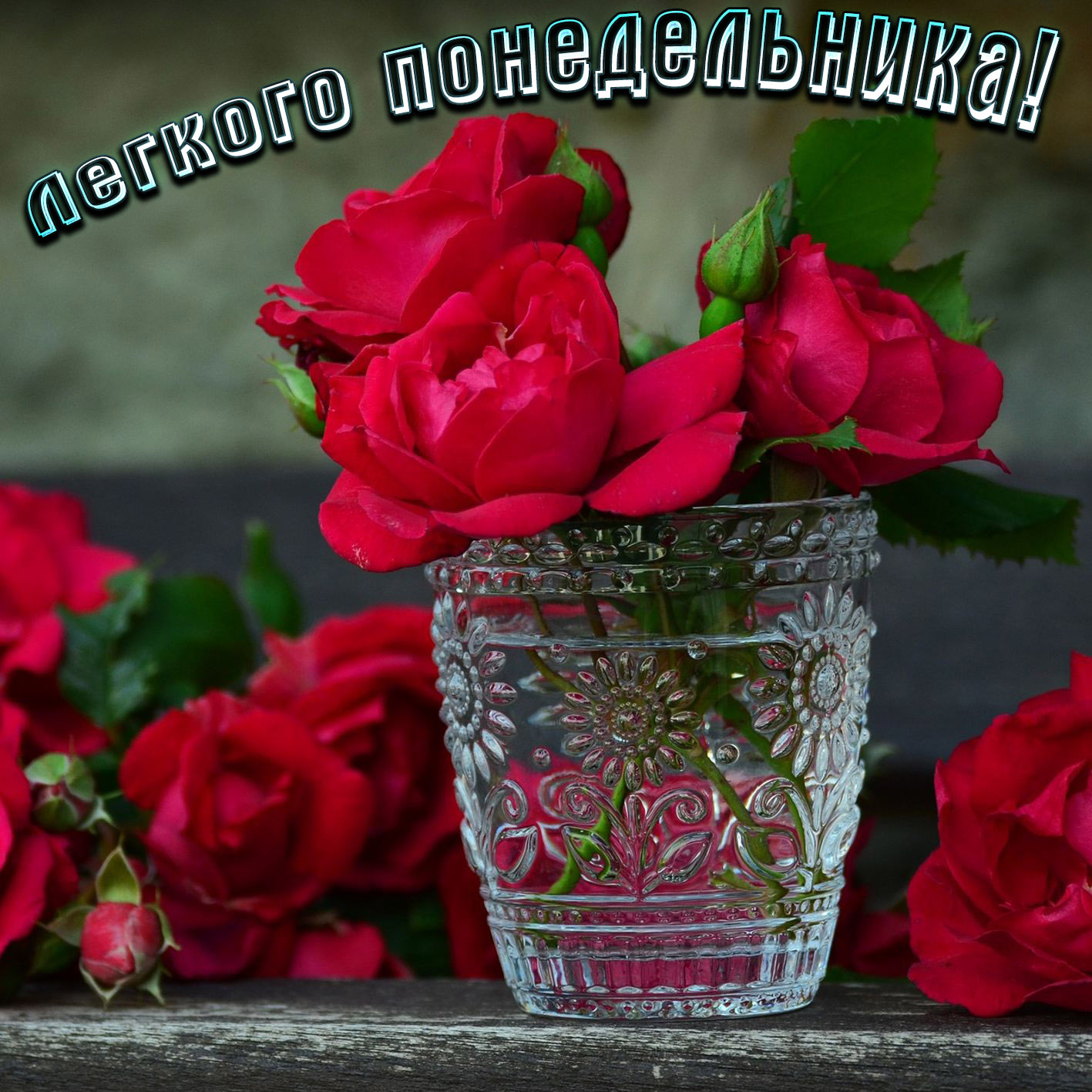 Доброго дня женщине видео. Цветы вечер. Красивые цветы в вазе. Добрый вечер с цветами. Вечерние розы.