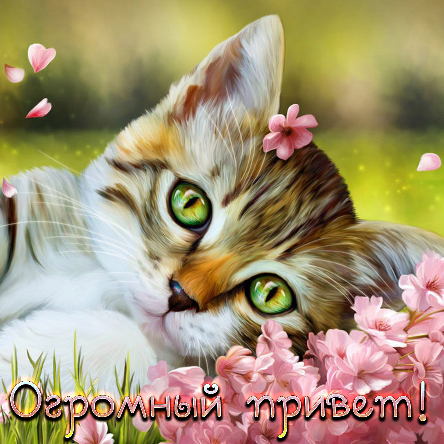 Привет котят 2. Открытки с котами. Красивые открытки с котами. Котенок с цветами. Открытки с котятами.