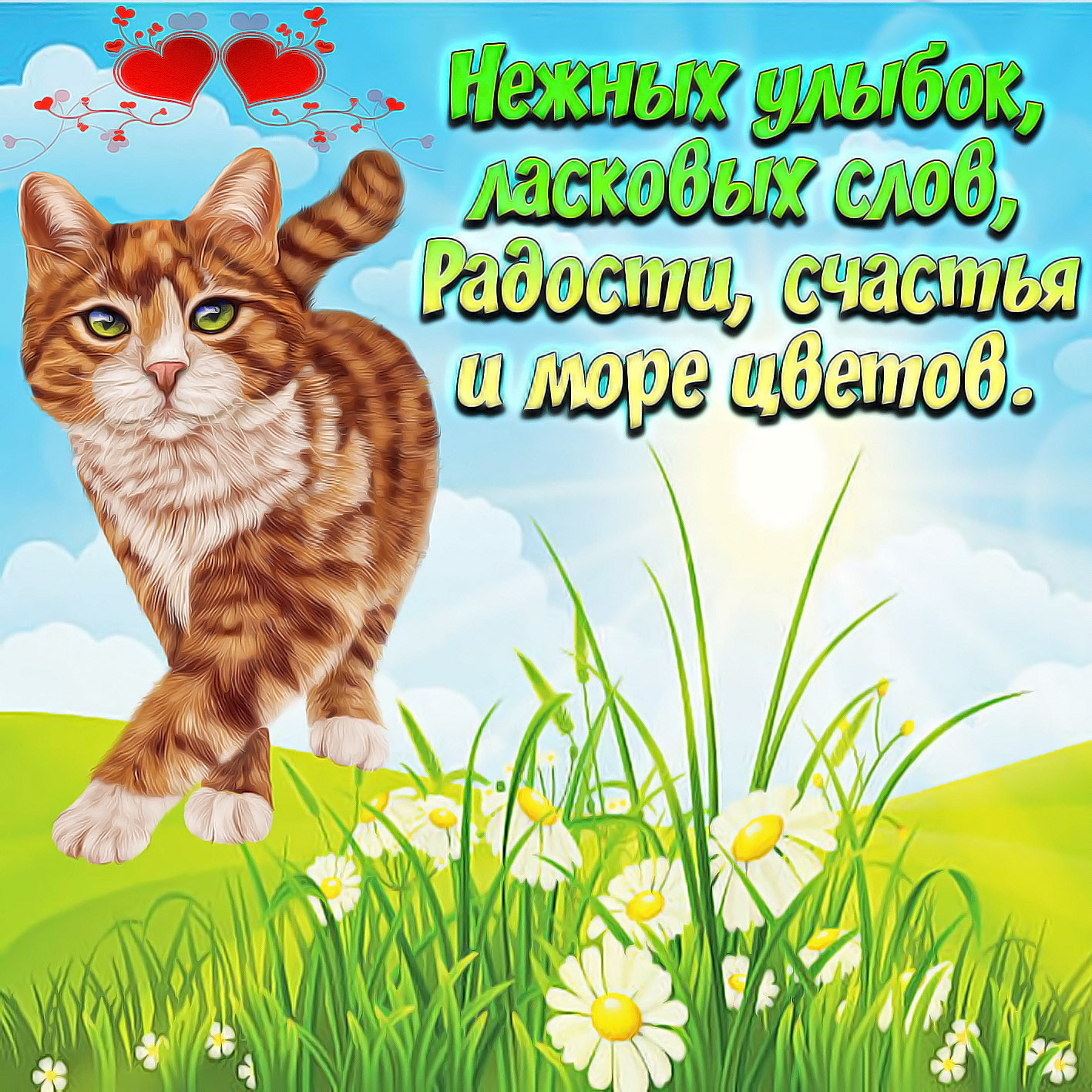 Картинки с кошками пожелания. Добрые пожелания. Пожелания доброго дня. Красивые открытки на каждый день. Открытки на каждый йдень.