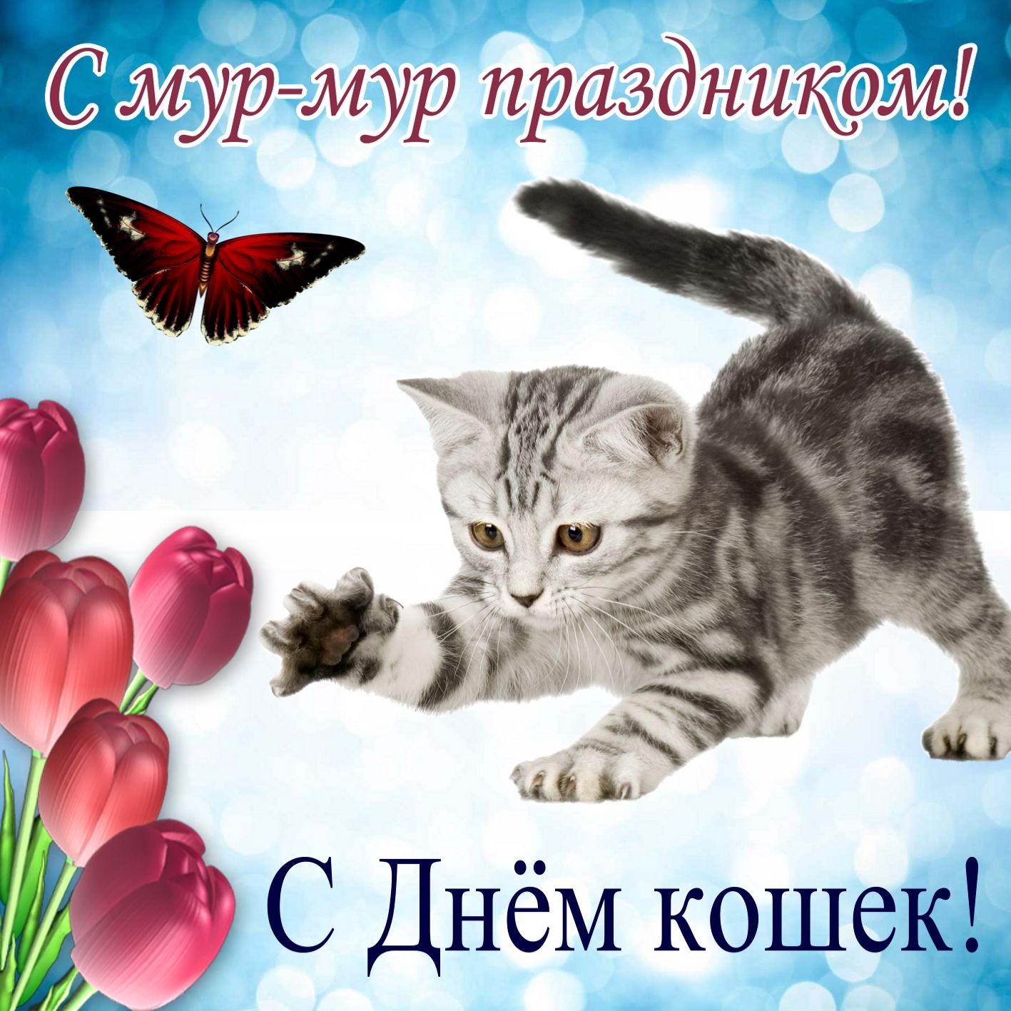Развлечение день кошек. День кошек. Всемирный день кошек поздравления. День кошек открытки.