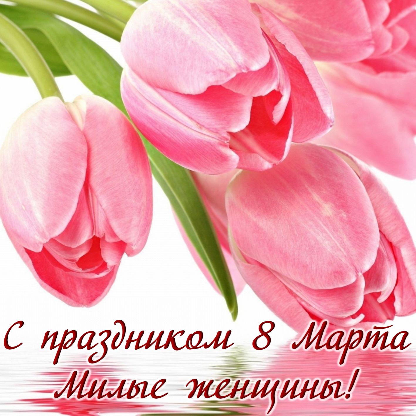 Открытка с 8 марта - розовые тюльпаны для милых женщин