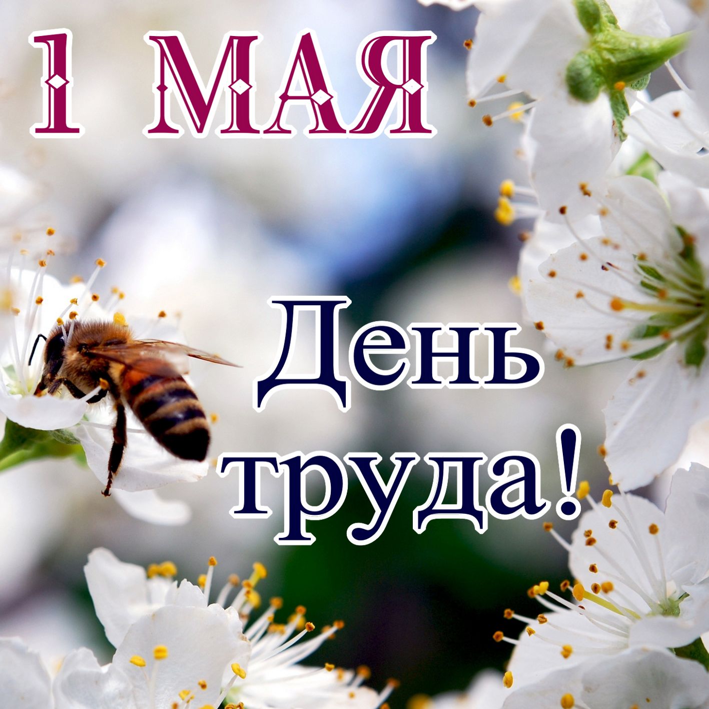 Праздник 1 мая день весны. Поздравление с 1 мая. Открытки с 1 мая. 1 Мая день труда. С 1 мая открытки с поздравлениями.