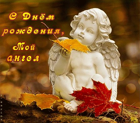 С днем рождения мой ангел Открытки с Днем Рождения. Анимационная фото открытка на день рождения. С днем рожденья, мой ангел, свет ты мой неземной, пусть жизнь твоя будет прекрасной, все лучшее будет с тобой С днем рождения мой ангел Открытки с Днем Рождения. Анимационная фото открытка на день рождения. С днем рожденья, мой ангел, свет ты мой неземной, пусть жизнь твоя будет прекрасной, все лучшее будет с тобой