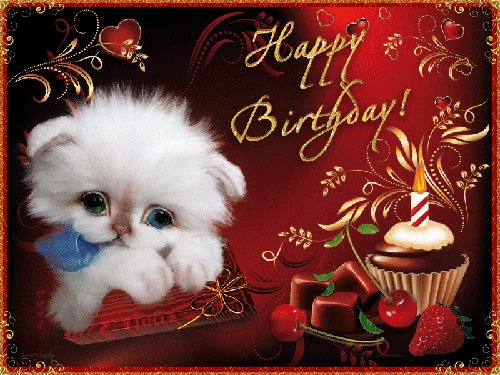 Картинки Happy Birthday Открытки с Днем Рождения. Картинка с белым котенком и надписью на английском языке Happy Birthday. Картинки Happy Birthday Открытки с Днем Рождения. Картинка с белым котенком и надписью на английском языке Happy Birthday.