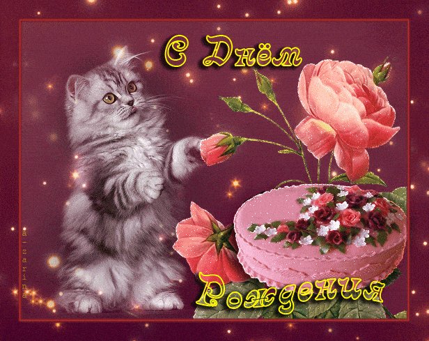 Котик поздравляет с днем рождения Открытки с Днем Рождения. Котик поздравляет с Днем Рождения и преподносит торт и розы. Котик поздравляет с днем рождения Открытки с Днем Рождения. Котик поздравляет с Днем Рождения и преподносит торт и розы.