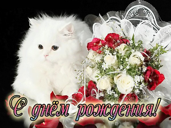 Милая открытка на день рождения Открытки с Днем Рождения. Милая открытка с белой кошечкой и подарочными розами на День Рождения. Милая открытка на день рождения Открытки с Днем Рождения. Милая открытка с белой кошечкой и подарочными розами на День Рождения.