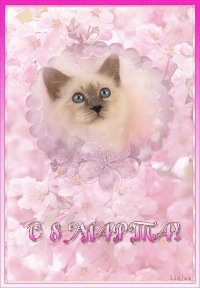 С 8 МАРТА! С котиком. С мартом Вас тающим, С мартом бушующим, С самым ласкающим, С самым волнующим, Счастья вам прочного, Счастья сердечного - Самого доброго, Самого вечного! С 8 МАРТА! С котиком. С мартом Вас тающим, С мартом бушующим, С самым ласкающим, С самым волнующим, Счастья вам прочного, Счастья сердечного - Самого доброго, Самого вечного!