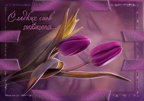 Сладких снов, любимая! Спокойной ночи. Спи, любимая моя, пусть дарят тебе сны Те звезды, что во тьме горят лишь для тебя На краешке весны и этой тишины... Спокойной ночи, ярких, красочных снов. Сладких снов, любимая! Спокойной ночи. Спи, любимая моя, пусть дарят тебе сны Те звезды, что во тьме горят лишь для тебя На краешке весны и этой тишины... Спокойной ночи, ярких, красочных снов.
