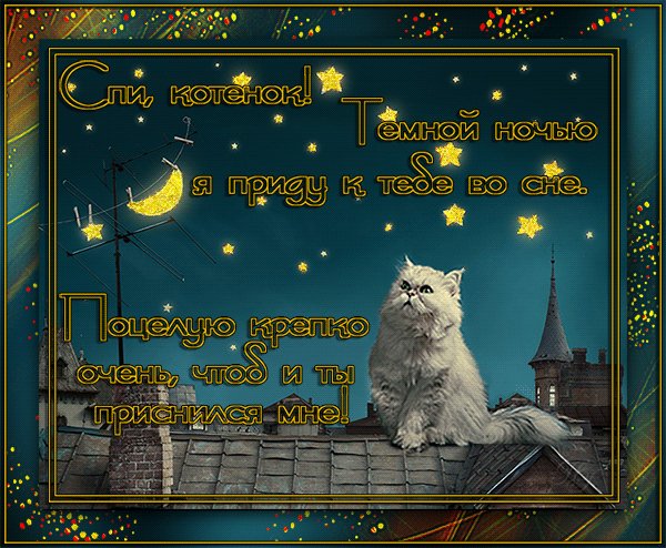 Темной ночью я приду к тебе во сне Спокойной ночи. Спи, котенок! Темной ночью я приду к тебе во сне. Поцелую крепко очень, чтоб и ты приснился мне! Темной ночью я приду к тебе во сне Спокойной ночи. Спи, котенок! Темной ночью я приду к тебе во сне. Поцелую крепко очень, чтоб и ты приснился мне!