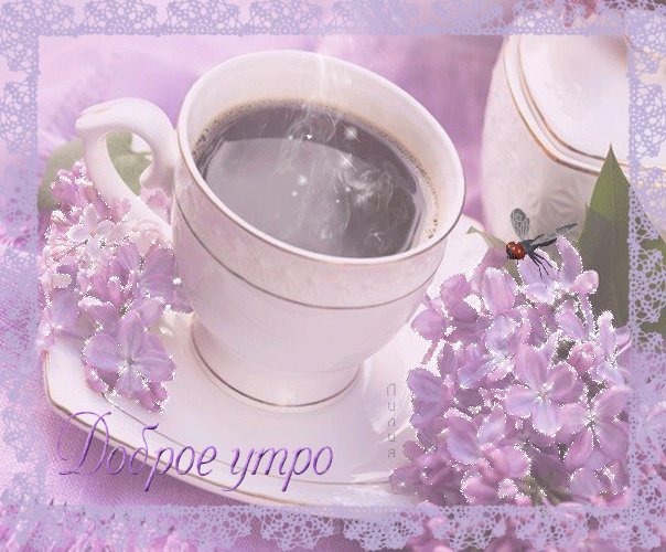 Доброе нежное утро! Доброе утро. Пусть твое доброе нежное утро принесет прекрасные новости и удивительные встречи, радуя тебя каждую минуту и не оставляя время для скуки! Доброе нежное утро! Доброе утро. Пусть твое доброе нежное утро принесет прекрасные новости и удивительные встречи, радуя тебя каждую минуту и не оставляя время для скуки!