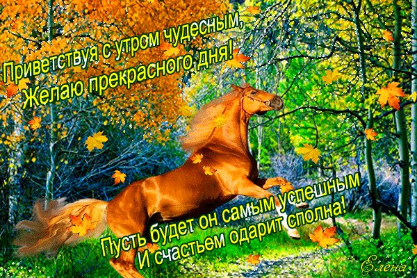 Приветствие с утром чудесным Доброе утро. Приветствуя с утром чудесным, желаю прекрасного дня! Пусть будет он самым успешным и счастьем одарит сполна! Приветствие с утром чудесным Доброе утро. Приветствуя с утром чудесным, желаю прекрасного дня! Пусть будет он самым успешным и счастьем одарит сполна!
