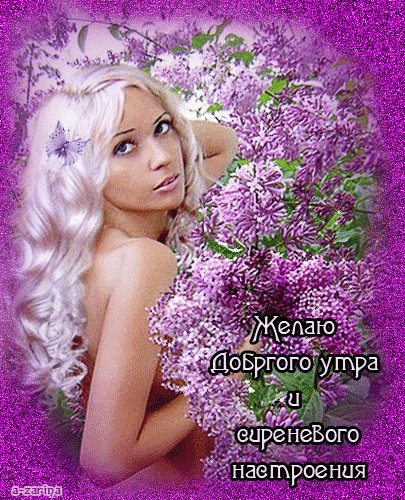 Желаю доброго утра и сиреневого настроения Доброе утро. Девушка с пожеланиями доброго утра и сиреневого настроения. Желаю доброго утра и сиреневого настроения Доброе утро. Девушка с пожеланиями доброго утра и сиреневого настроения.