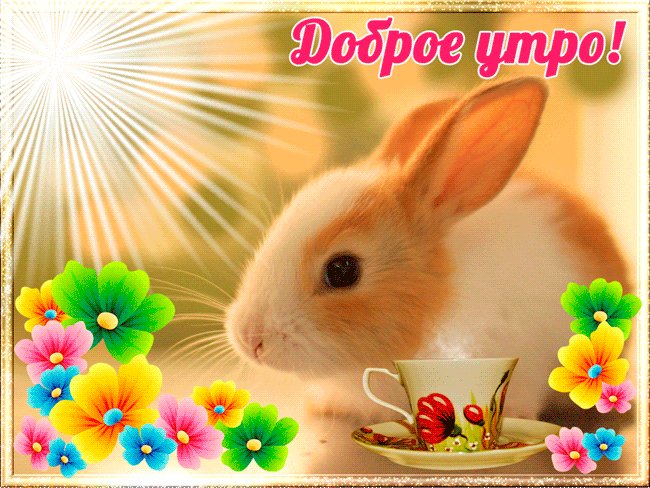 Улыбнись! С добрым утром! Доброе утро. Доброе утро! Погода прекрасная, просыпайся скорее! Весь мир ждет тебя! Улыбнись! С добрым утром! Доброе утро. Доброе утро! Погода прекрасная, просыпайся скорее! Весь мир ждет тебя!