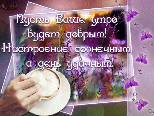 Пусть ваше утро будет добрым. Доброе утро. Пусть ваше утро будет добрым! Настроения солнечным, а день удачным. Пусть ваше утро будет добрым. Доброе утро. Пусть ваше утро будет добрым! Настроения солнечным, а день удачным.
