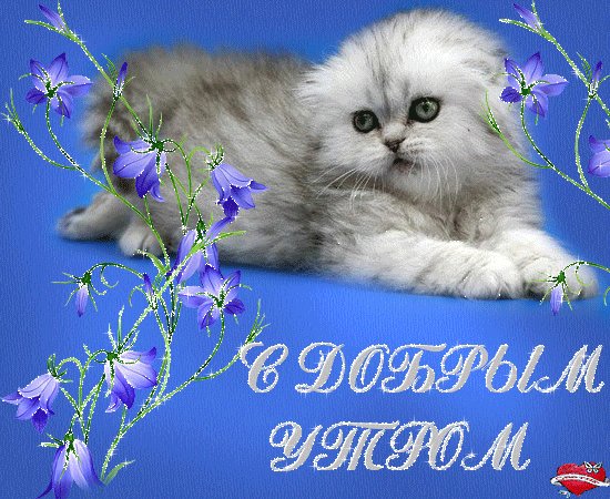 С Добрым Утром. Доброе утро. Пусть начнется день отлично, Вечер пусть будет фееричным, Веселись, работай, жить не бойся И на позитив с утра настройся! С Добрым Утром. Доброе утро. Пусть начнется день отлично, Вечер пусть будет фееричным, Веселись, работай, жить не бойся И на позитив с утра настройся!