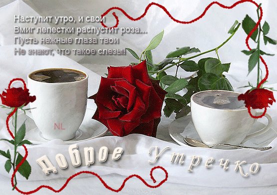 С добрым утром девушке. Доброе утро. Наступит утро, и свои в миг лепестки распустит роза… Пусть нежные глаза твои не знают, что такое слезы. С добрым утром девушке. Доброе утро. Наступит утро, и свои в миг лепестки распустит роза… Пусть нежные глаза твои не знают, что такое слезы.
