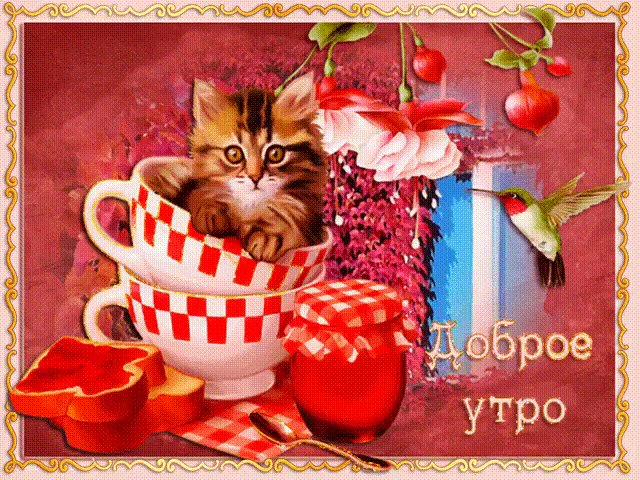 С Добрым утром котик. Доброе утро. Анимированная картинка котенок в кружке из под чая: С Добрым утром! С Добрым утром котик. Доброе утро. Анимированная картинка котенок в кружке из под чая: С Добрым утром!