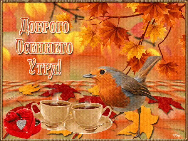 Доброе Утро Фото Красивые Осенний День