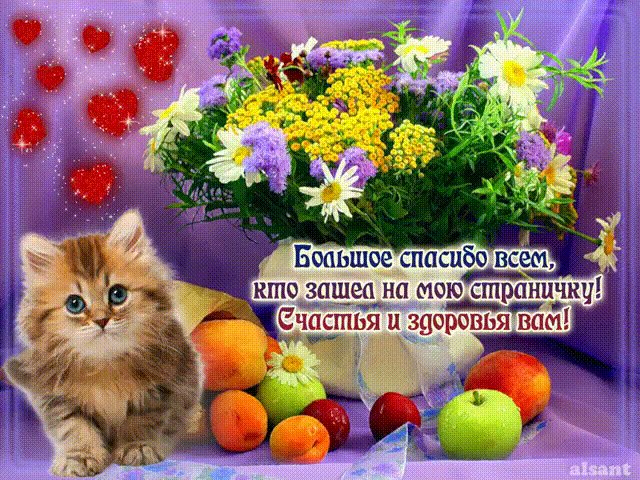 Большое спасибо всем, кто зашел на мою страничку! Спасибо. Картинка анимационная с надписью: Большое спасибо всем, кто зашел на мою страницу! Здоровья и счастья вам! Большое спасибо всем, кто зашел на мою страничку! Спасибо. Картинка анимационная с надписью: Большое спасибо всем, кто зашел на мою страницу! Здоровья и счастья вам!
