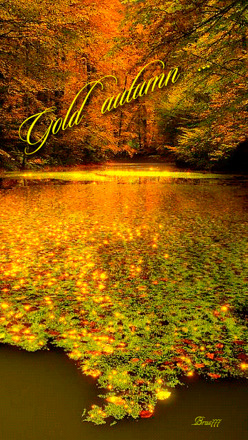Золотая Осень Фото Скачать Бесплатно