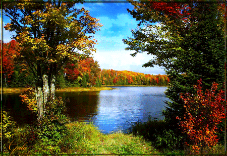 Осенние Пейзажи Фото Красивые С Пожеланиями