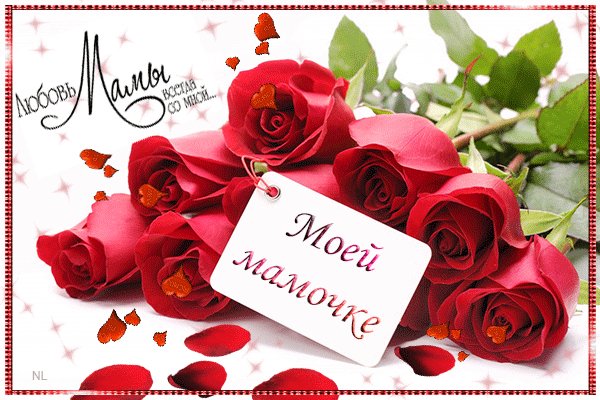 Моей мамочке. День матери. Букет живых красных роз на столе и движущаяся маленькая открытка с надписью для любимой мамочки: Любовь мамы всегда со мной... Моей мамочке. День матери. Букет живых красных роз на столе и движущаяся маленькая открытка с надписью для любимой мамочки: Любовь мамы всегда со мной...
