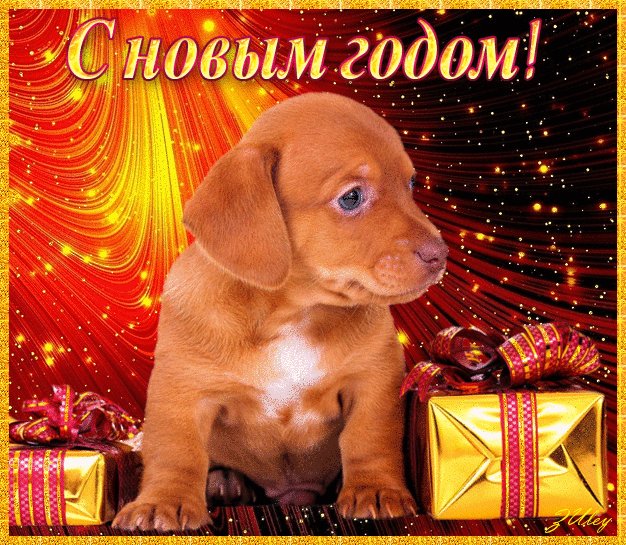 Новогодние картинки с собакой. Новый год открытки и картинки. С Новым годом, друг! А вы приготовили подарки к новому году? Новогодние картинки с собакой. Новый год открытки и картинки. С Новым годом, друг! А вы приготовили подарки к новому году?