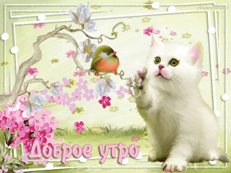 Открытка, пожелание, доброе утро. Открытки Открытка, анимация, пожелание, доброе утро, птичка, котенок, веточка. Открытка, пожелание, доброе утро. Открытки Открытка, анимация, пожелание, доброе утро, птичка, котенок, веточка.
