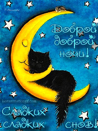 Открытка, анимация, сладких снов, спокойной ночи, пожелание, котенок. Открытки Открытка, анимация, сладких снов, спокойной ночи, пожелание, котенок, месяц. Открытка, анимация, сладких снов, спокойной ночи, пожелание, котенок. Открытки Открытка, анимация, сладких снов, спокойной ночи, пожелание, котенок, месяц.