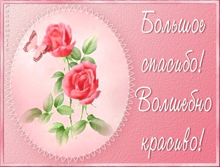 Открытка, анимация, спасибо, благодарность, розы, бабочка. Открытки Открытка, анимация, спасибо, благодарность, розы, бабочка, волшебно красиво. Открытка, анимация, спасибо, благодарность, розы, бабочка. Открытки Открытка, анимация, спасибо, благодарность, розы, бабочка, волшебно красиво.