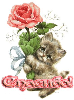 Открытка, анимация, спасибо, благодарность, котенок. Открытки Открытка, анимация, спасибо, благодарность, котенок, роза. Открытка, анимация, спасибо, благодарность, котенок. Открытки Открытка, анимация, спасибо, благодарность, котенок, роза.