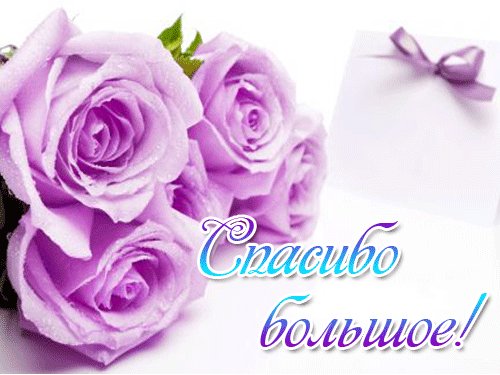 Открытка, анимация, спасибо, благодарность, розы. Открытки Открытка, анимация, спасибо, благодарность, розы, букет. Открытка, анимация, спасибо, благодарность, розы. Открытки Открытка, анимация, спасибо, благодарность, розы, букет.
