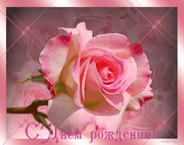 Нежная Анимационная открытка на день рождения Роза. Открытки Нежная Анимационная открытка на день рождения Красивая Роза. Нежная Анимационная открытка на день рождения Роза. Открытки Нежная Анимационная открытка на день рождения Красивая Роза.