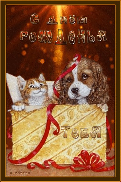 Котенок и щенок в коробке. Открытки с Днем Рождения. Побольше приключений, Поменьше огорчений, Веселых путешествий, И дружеских нашествий! Котенок и щенок в коробке. Открытки с Днем Рождения. Побольше приключений, Поменьше огорчений, Веселых путешествий, И дружеских нашествий!