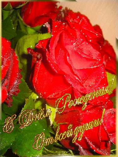 С Днем Рождения от всей души. Открытки с Днем Рождения. С днем рожденья тебя поздравляю, Самый близкий, родной человек, И здоровья тебе я желаю Не на год, а на долгий твой век! С Днем Рождения от всей души. Открытки с Днем Рождения. С днем рожденья тебя поздравляю, Самый близкий, родной человек, И здоровья тебе я желаю Не на год, а на долгий твой век!