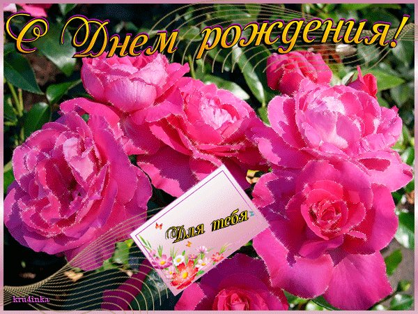С Днем Рождения тебя. Открытки с Днем Рождения. Нежная поздравительная открытка с цветами ко дню рождения. Пусть в этот день корзину роз Преподнесут тебе друзья, Печаль не тронет глаз красивых И будет легкой жизнь твоя! Сияй же ты как лучик солнца, Будь нежной, ласковой всегда. И пусть наградой будет счастье На все грядущие года! С Днем Рождения тебя. Открытки с Днем Рождения. Нежная поздравительная открытка с цветами ко дню рождения. Пусть в этот день корзину роз Преподнесут тебе друзья, Печаль не тронет глаз красивых И будет легкой жизнь твоя! Сияй же ты как лучик солнца, Будь нежной, ласковой всегда. И пусть наградой будет счастье На все грядущие года!