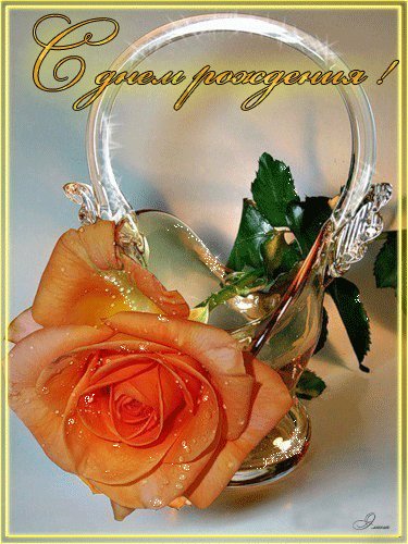 С Днем Рождения открытка с розой. Открытки с Днем Рождения. Чтобы в сердце солнце светило всегда, Чтоб душа была счастьем полна! С Днем Рождения поздравляю Тебя! С Днем Рождения открытка с розой. Открытки с Днем Рождения. Чтобы в сердце солнце светило всегда, Чтоб душа была счастьем полна! С Днем Рождения поздравляю Тебя!