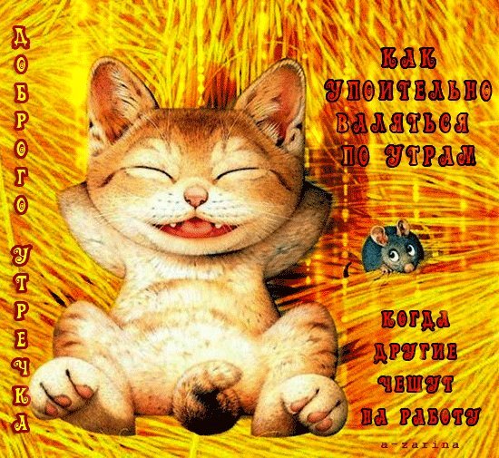 Кот на сеновале! Доброго утра и хорошего настроения картинки анимация, гиф доброго утра и хорошего настроения картинки! Кот на сеновале! Доброго утра и хорошего настроения картинки анимация, гиф доброго утра и хорошего настроения картинки!