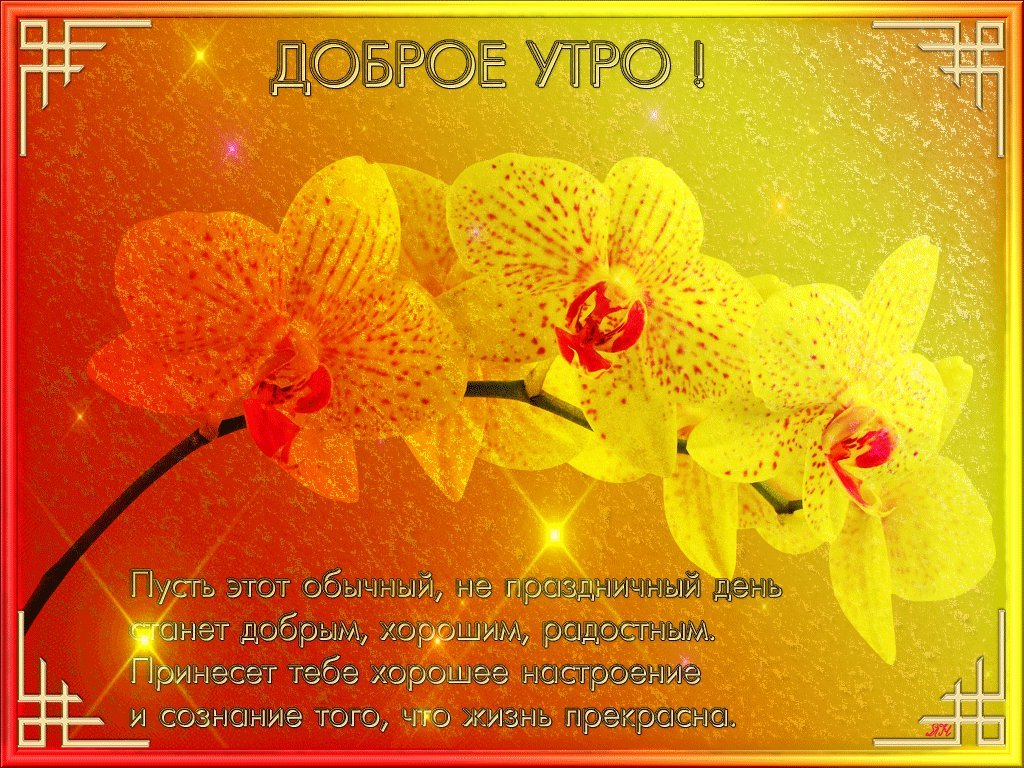 Красивый стих! Доброго утра и хорошего настроения картинки анимация, гиф доброго утра и хорошего настроения картинки! Красивый стих! Доброго утра и хорошего настроения картинки анимация, гиф доброго утра и хорошего настроения картинки!