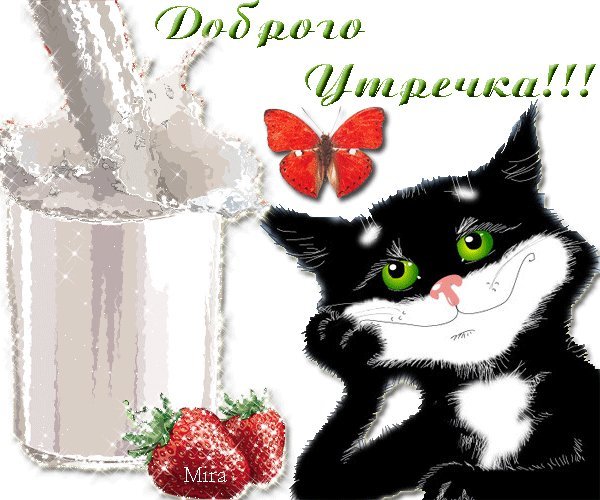 Мяу! Картинки и открытки для вацапа с добрым утром! Открытки гиф, анимации, гифки с добрым утром! С добрым утром гифки! Мяу! Картинки и открытки для вацапа с добрым утром! Открытки гиф, анимации, гифки с добрым утром! С добрым утром гифки!