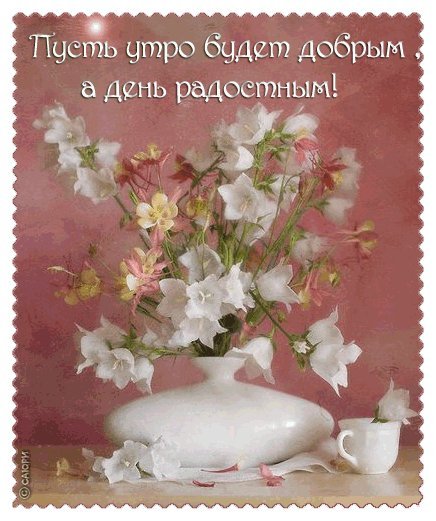Яркая, красивая открытка с добрым утром, сестренка, сестра! Скачать бесплатно онлайн! Цветы. Цветочки. Белые цветы в белой вазе. Яркая, красивая открытка с добрым утром, сестренка, сестра! Скачать бесплатно онлайн! Цветы. Цветочки. Белые цветы в белой вазе.
