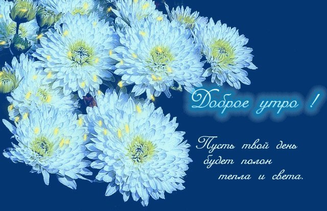 Яркая, красивая открытка с добрым утром, сестренка, сестра! Скачать бесплатно онлайн! Белые цветочки. Цветы. Гиф. Анимашка. Яркая, красивая открытка с добрым утром, сестренка, сестра! Скачать бесплатно онлайн! Белые цветочки. Цветы. Гиф. Анимашка.