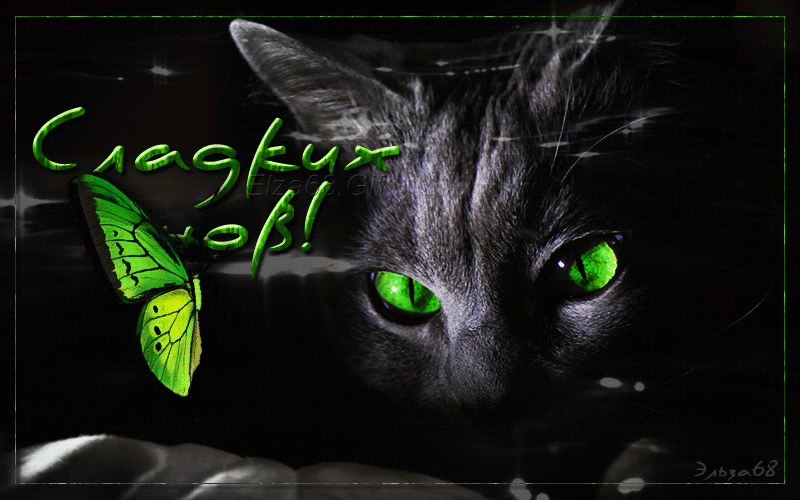 Гифки котиков спокойной ночи. Чёрный кот с зелёными глазами. Спокойной ночи черный кот. Спокойной ночи зеленоглазая. Кот с зелеными глазами.