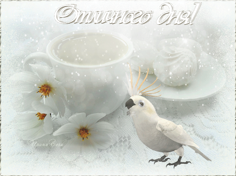 Доброго зимнего дня. Зимнее утро. Нежные открытки с добрым днем. Пожелания с добрым утром зимние.
